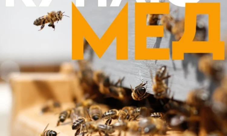 Куплю мед оптом в Виннице - фото № 1