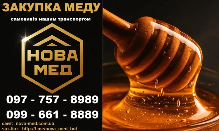 Купуємо МЕД круглий рік. Мінімальна партія для виїзду 500 кг - фото № 1
