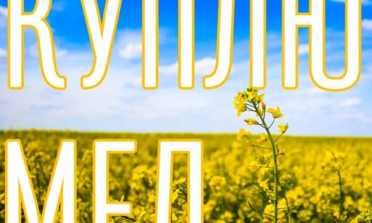 Куплю мед в Николаеве - фото № 1