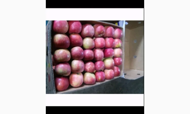 Продаю яблоки Айдарет Голден - фото № 2