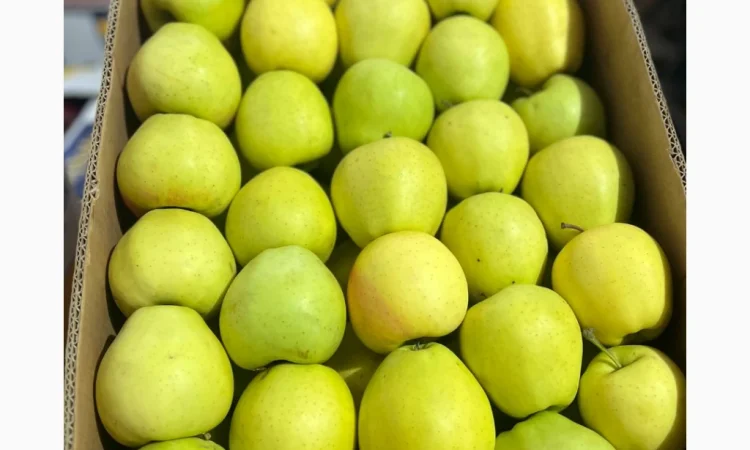 Продаются яблоки различных сортов - фото № 1