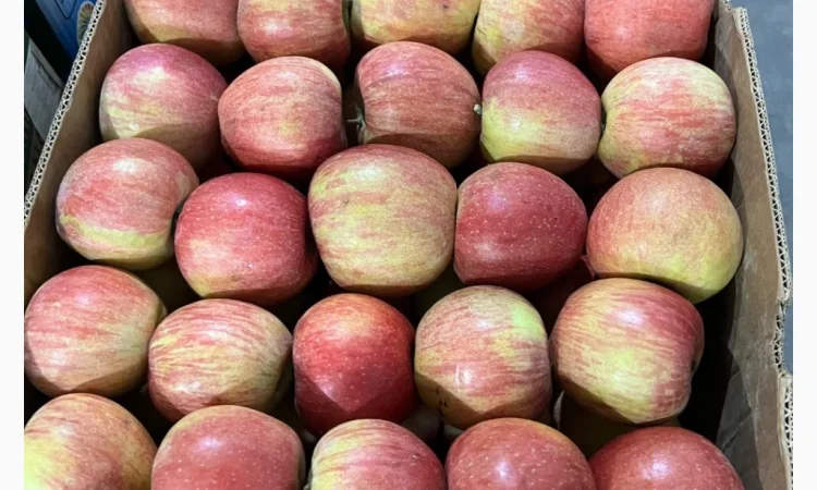 Продаются яблоки различных сортов - фото № 2