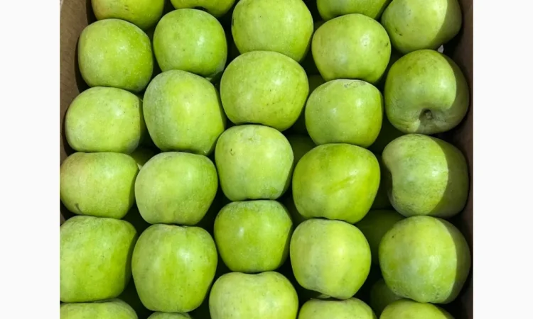 Продаются яблоки различных сортов - фото № 3