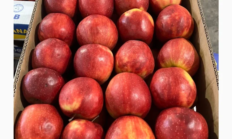 Продаются яблоки различных сортов - фото № 4