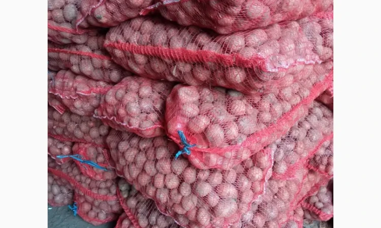 Насіннєва картопля сорту Белароса, 2 репродукція, 2.5 т - фото № 1