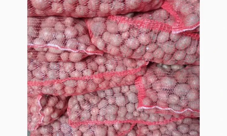 Насіннєва картопля сорту Белароса, 2 репродукція, 2.5 т - фото № 2