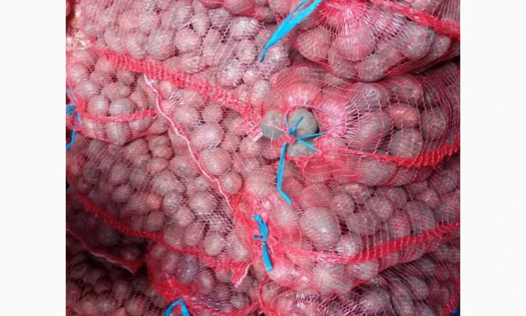 Насіннєва картопля сорту Белароса, 2 репродукція, 2.5 т - фото № 4