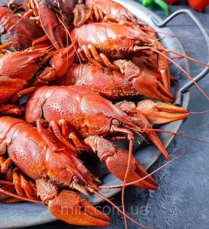 Продаються варені раки з доставкою - фото № 2