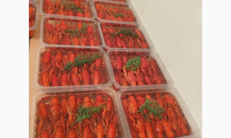 Продаж вареноморожених раків оптом - фото № 1