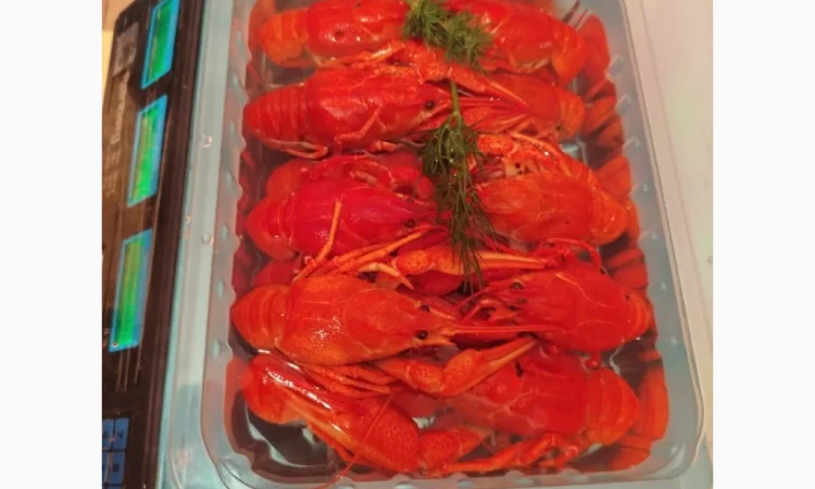 Продаж вареноморожених раків оптом - фото № 2
