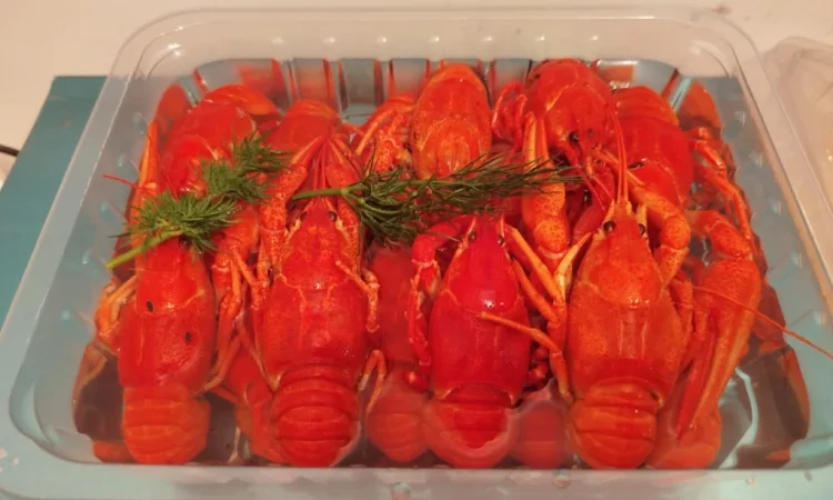 Продаж вареноморожених раків оптом - фото № 3