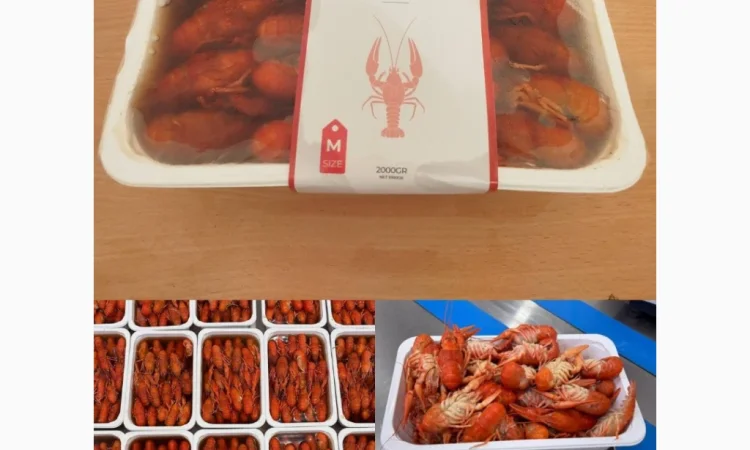 Продаж вареноморожених раків оптом - фото № 5
