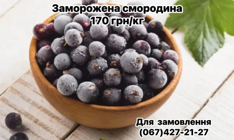 Продается замороженная смородина оптом и в розницу - фото № 2