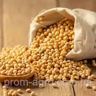 Закуповуємо якісну сою (Non-GMO). Висока ціна за протеїн - фото № 1