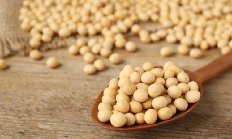 Куплю СОЮ (НЕ ГМО) з місця. 2 форма - фото № 1