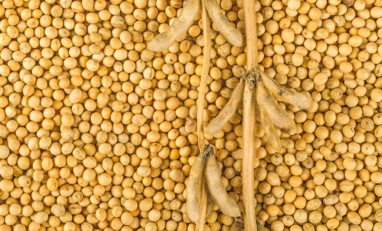 Закупівля сої не гмо! (2 форма) - фото № 1