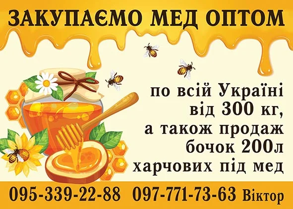 Купуємо мед оптом в с. Ожидів, Львівська область - фото № 1
