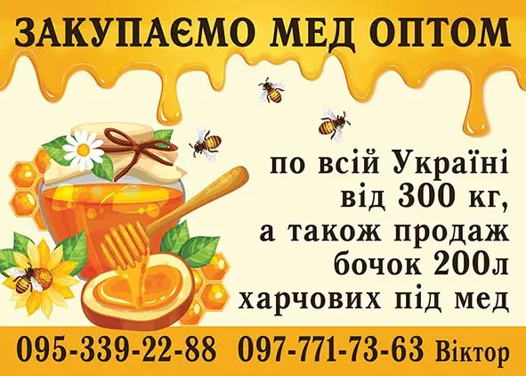 Закупаем мед оптом по Львовской области - фото № 1