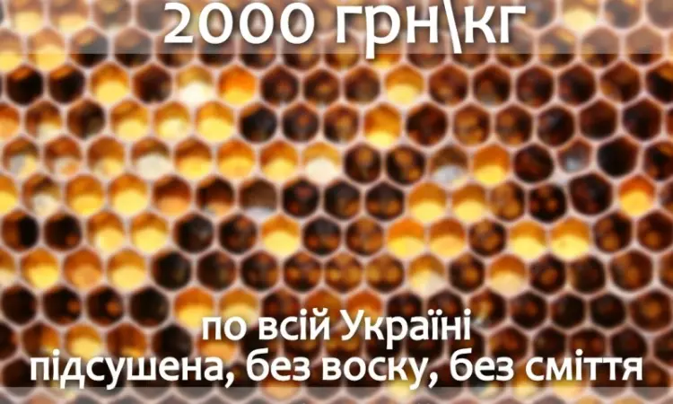 Перга куплю оптом - фото № 1