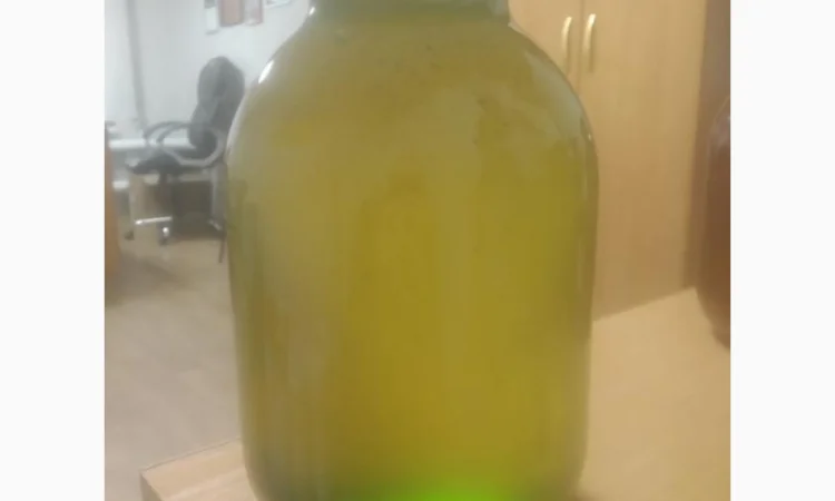 Закупаем мед различных сортов оптом - фото № 1