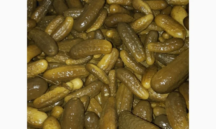 Грунтовые квашеные огурцы - фото № 2