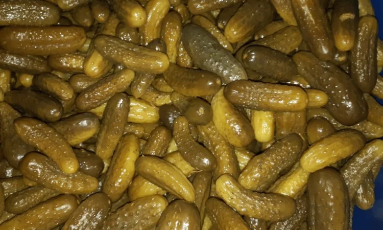 Грунтовые квашеные огурцы - фото № 3