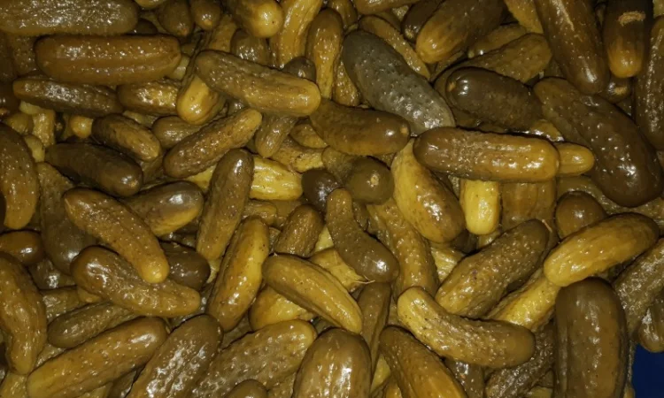 Грунтовые квашеные огурцы - фото № 4