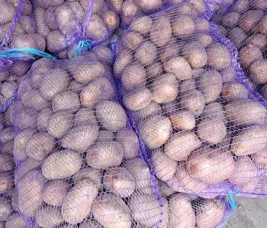 Продажа крупной товарной картошки – 10 тонн - фото № 1