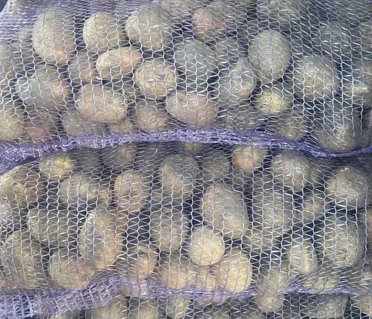 Продається картопля велика та насіннєва сорту Гранада - фото № 1