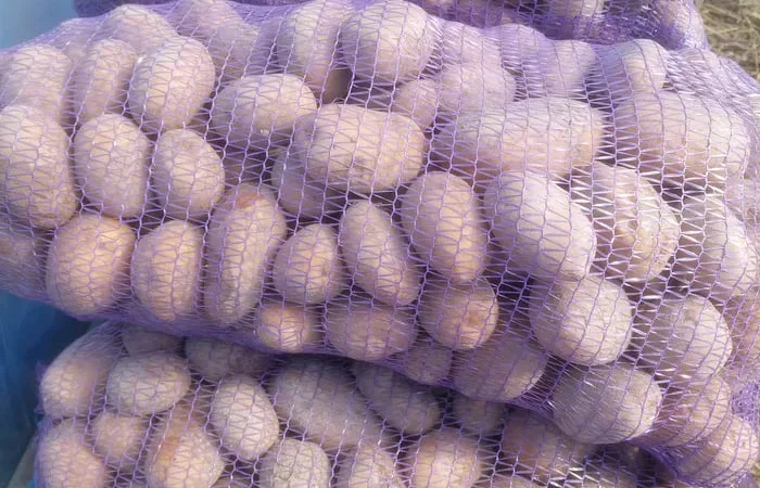 Картопля сорту Мелодія з доставкою - фото № 1