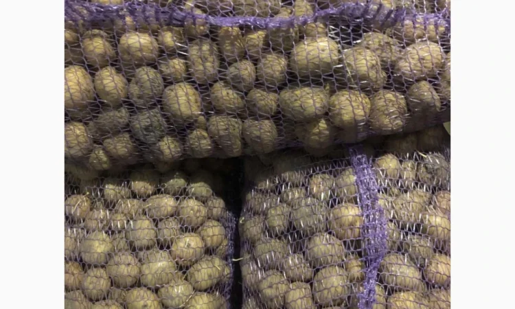 Продажа картофеля сорта Ривьера и Аризона - фото № 2