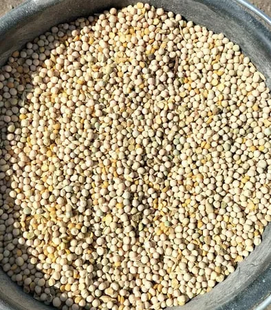 Кормовий горох.отходи гороха.відходи гороха - фото № 1