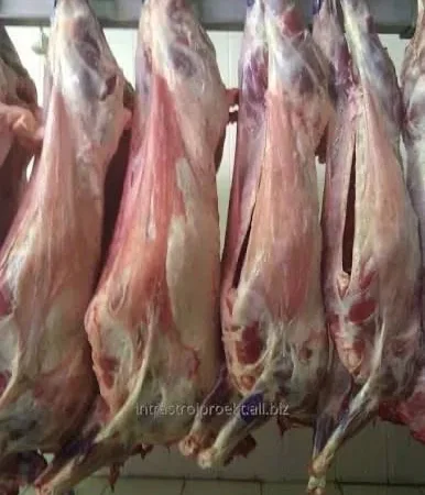 Продается свежая баранина - фото № 1