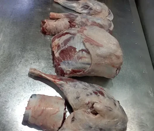Свежие мясо молочного козленка и баранина - фото № 1