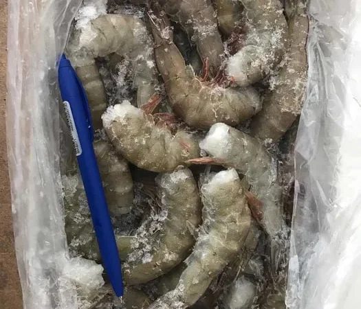 Тигрова Креветка морожена - фото № 1