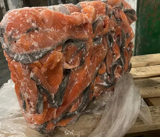 Обрізь лосося з плавниками - фото № 1
