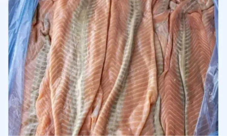 Мясо лосося свіжоморожене - фото № 1