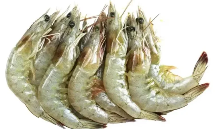 Креветка 30/40 40/50 50/60 60/70 90/120 - фото № 1