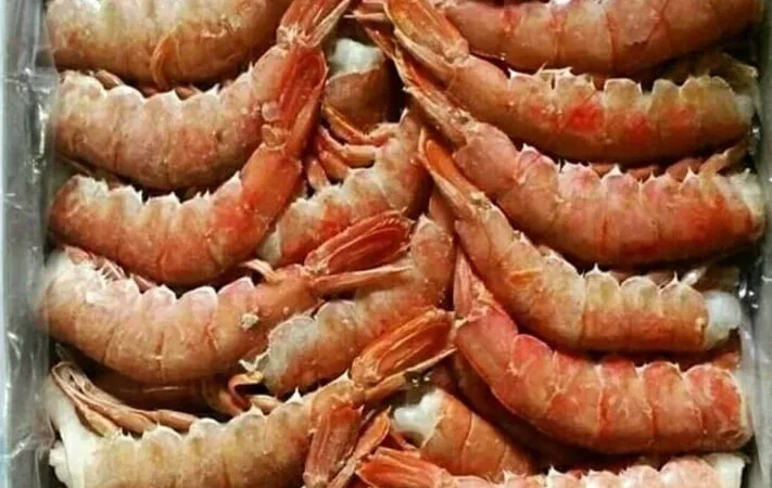 Лангустини, креветки , мідіі, кальмар - фото № 1