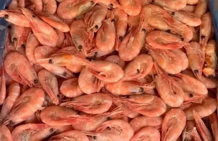 Креветка 200 + готова до вживання - фото № 1