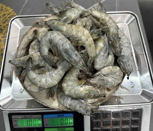 Креветка 30.40 без глазурі - фото № 1