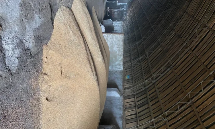 Продается яровая пшеница - фото № 1