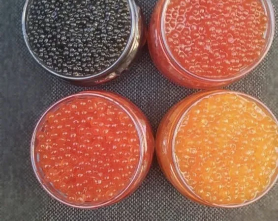 Акція красная икра червона ікра чорна ікра - фото № 1