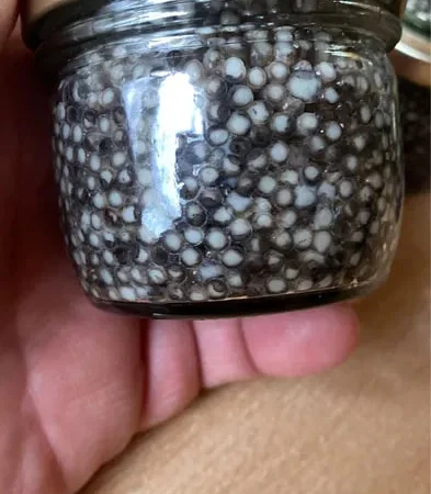 НАТУРАЛЬНАЯ черная икра - фото № 1