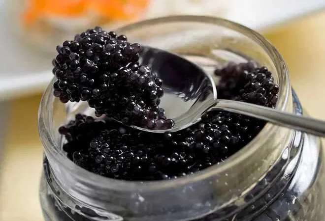 Икра ікра чорна черная веслоноса,лосося красная - фото № 1