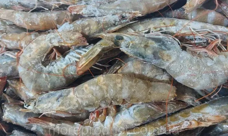 Креветка Ваннамей 70\80, с\м, з гол, в панцирі - фото № 1