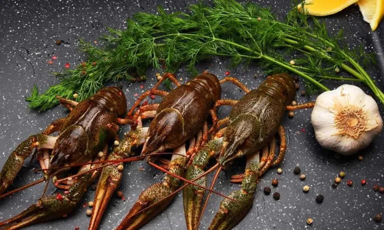 Раки охолоджені середні до 25 шт/кг (50-70грам/шт - фото № 1