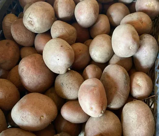 Продам картошку посадка - фото № 1
