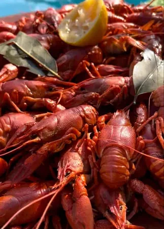 Доставка раків в Запоріжжі - фото № 1