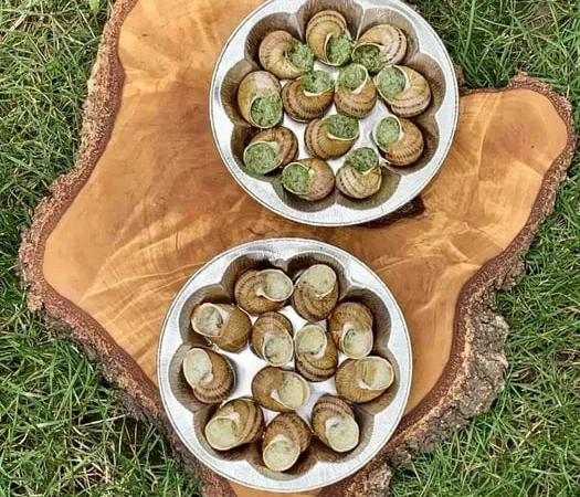 Равлик Смачне ,корисне задоволення - фото № 1